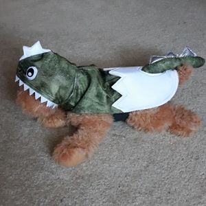 Dog costume Baby Dino Egg NEW W/O TAGS